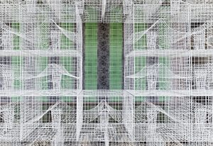 Blick durch eine Struktur aus weißen Drahtgitterkäfigen auf eine Wand mit breiten dunkelgrauen und grünen Streifen.