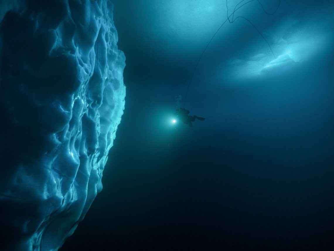 Ein Taucher, der von rechts mit einer Unterwasserlampe auf einen Eisberg zu taucht. Das Wasser um ihn herum ist tiefblau, auch über ihm ist die Unterseite eines Eisbergs zu sehen.
